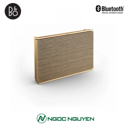 Loa Bang & Olufsen Beosound Level