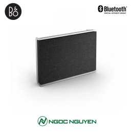 Loa Bang & Olufsen Beosound Level