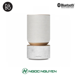 Loa Beosound Balance 850W