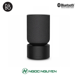 Loa Beosound Balance 850W