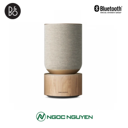 Loa Beosound Balance 850W